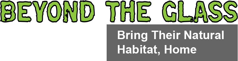 Beyond the Glass Header